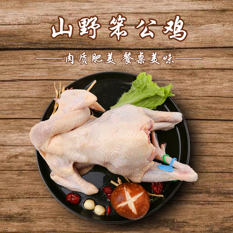 良新笨鸡自有农场果林饲养林下散养笨鸡小笨公鸡3.5~4斤/只